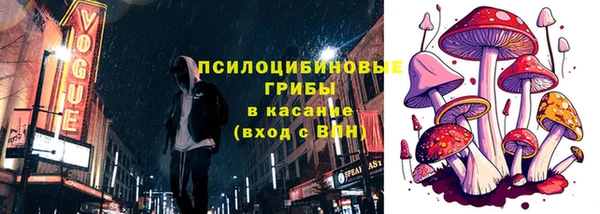 мяу мяу мука Алексеевка