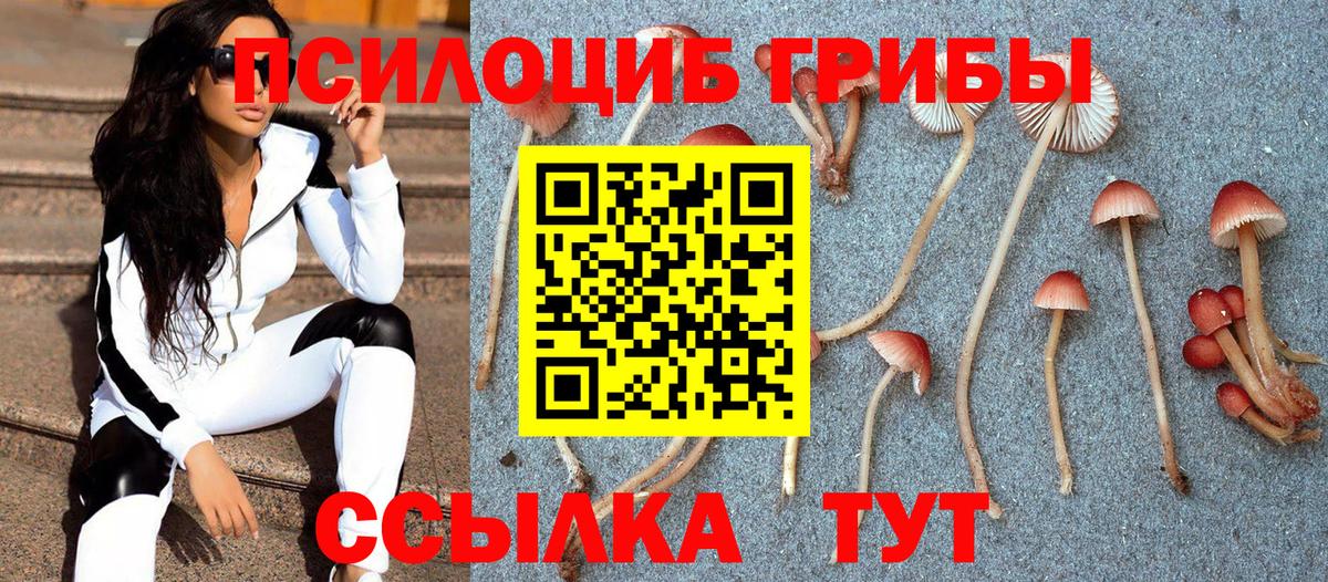 Галлюциногенные грибы Magic Shrooms  цена наркотик  Сибай  Вход с VPN  Галлюциногенные грибы ЛСД 