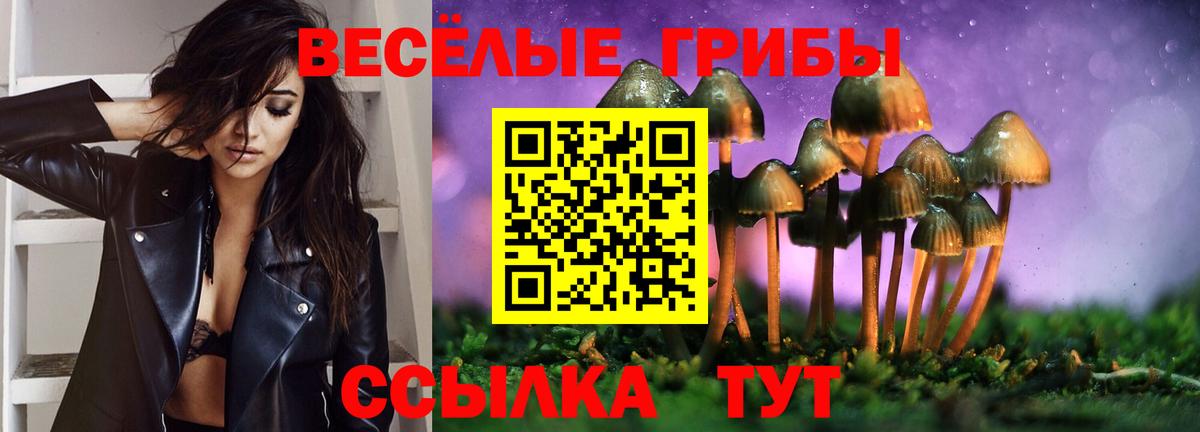 Псилоцибиновые грибы Psilocybine cubensis Сибай