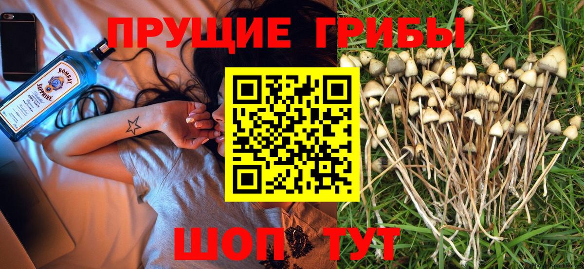 A-PVP СК   NBOMe  Где купить  АМФЕТАМИН кристаллы  ГАШИШ  ЭКСТАЗИ  Конопля  Cocaine  Сибай  Вход с VPN  Меф МЯУ МЯУ кристаллы 